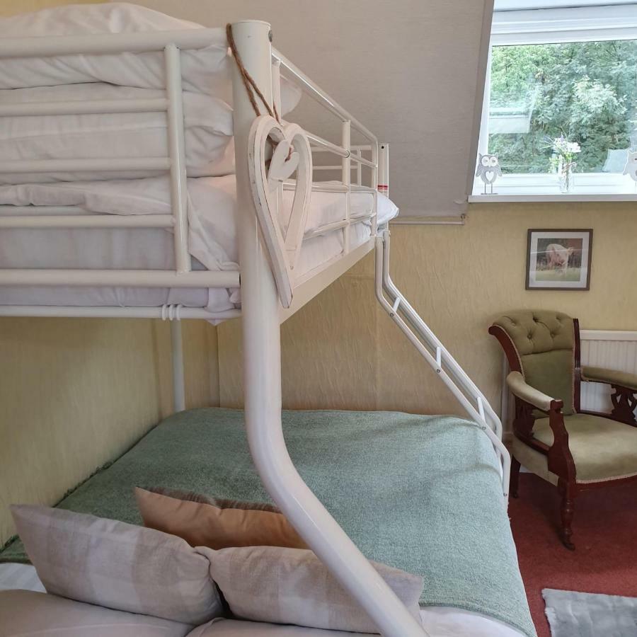بيتوَس واي كود Dolgethin Guest House المظهر الخارجي الصورة
